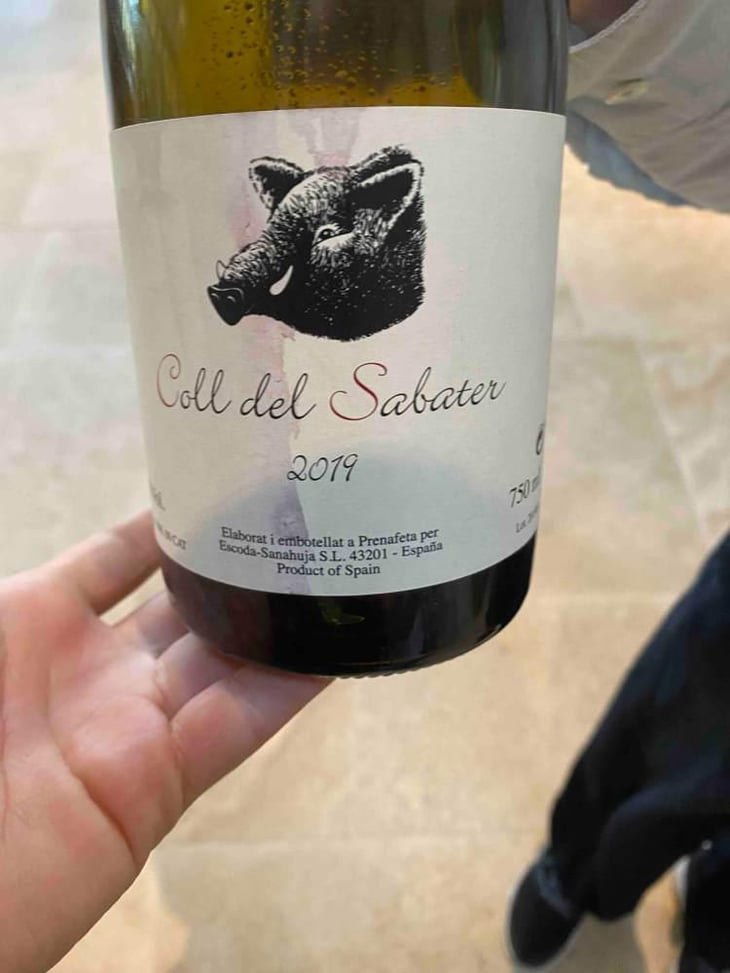 Coll del Sabater - Celler Escoda Sanahuja - Joan Ramón Escoda Martinez 