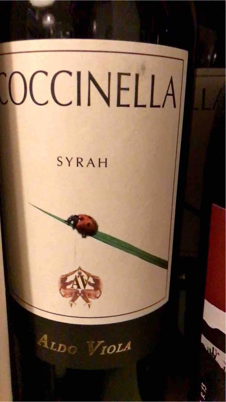 Coccinella - Azienda Agricola Aldo Viola - Aldo Viola 