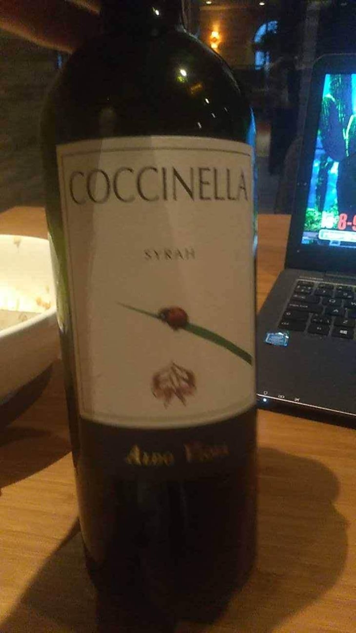 Coccinella - Azienda Agricola Aldo Viola - Aldo Viola 