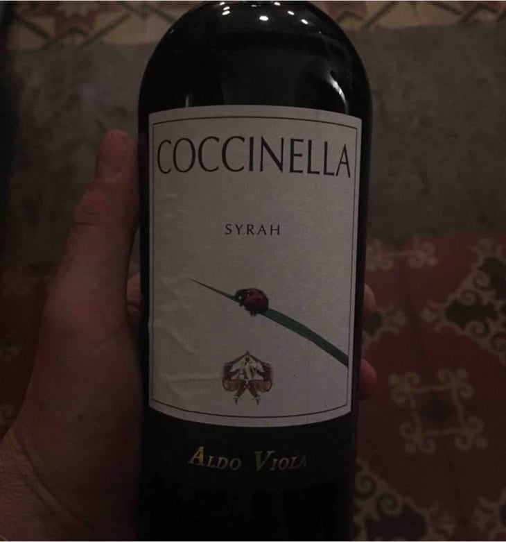 Coccinella - Azienda Agricola Aldo Viola - Aldo Viola 