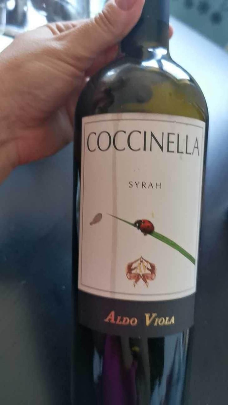 Coccinella - Azienda Agricola Aldo Viola - Aldo Viola 