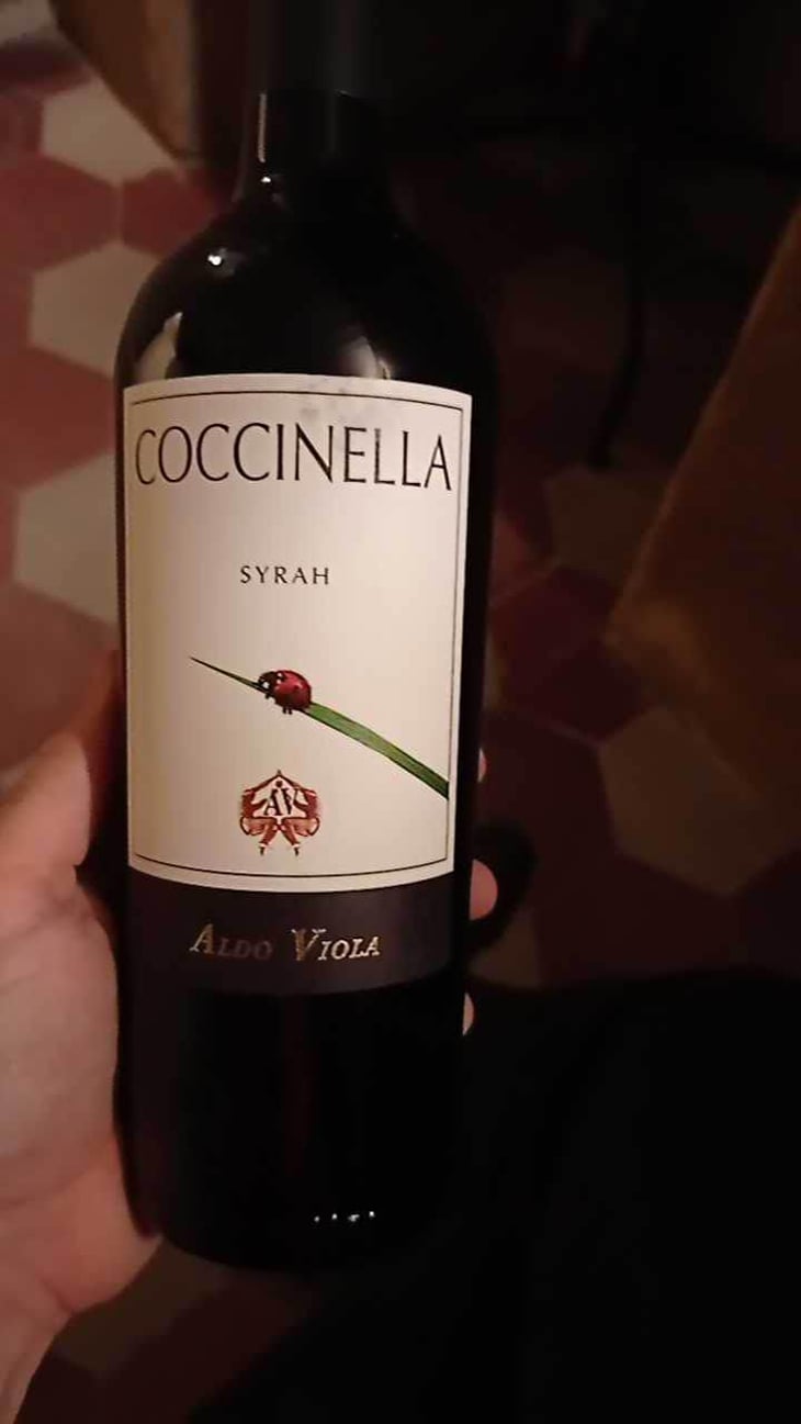 Coccinella - Azienda Agricola Aldo Viola - Aldo Viola 