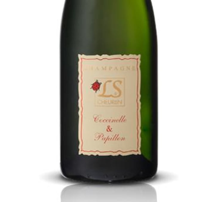 Coccinelles et papillons - Champagne L&S Cheurlin - Lucie et Sébastien Cheurlin -2015