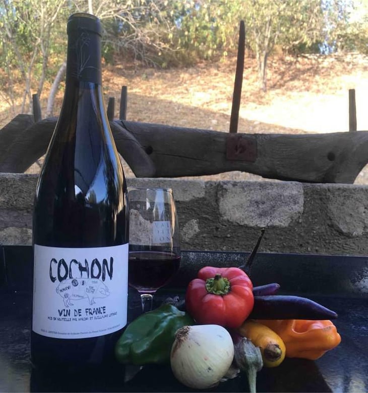 Cochon - Domaine de Sulauze - Karina & Guillaume Lefèvre 