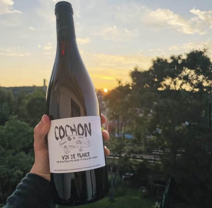 Cochon - Domaine de Sulauze - Karina & Guillaume Lefèvre 
