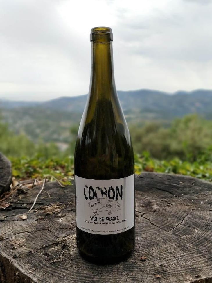 Cochon - Domaine de Sulauze - Karina & Guillaume Lefèvre 