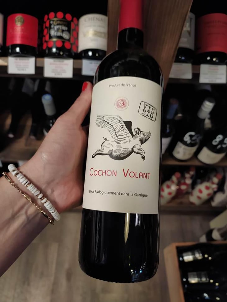 Cochon volant - Chateau de Caraguilhes - Benjamin Brunel 