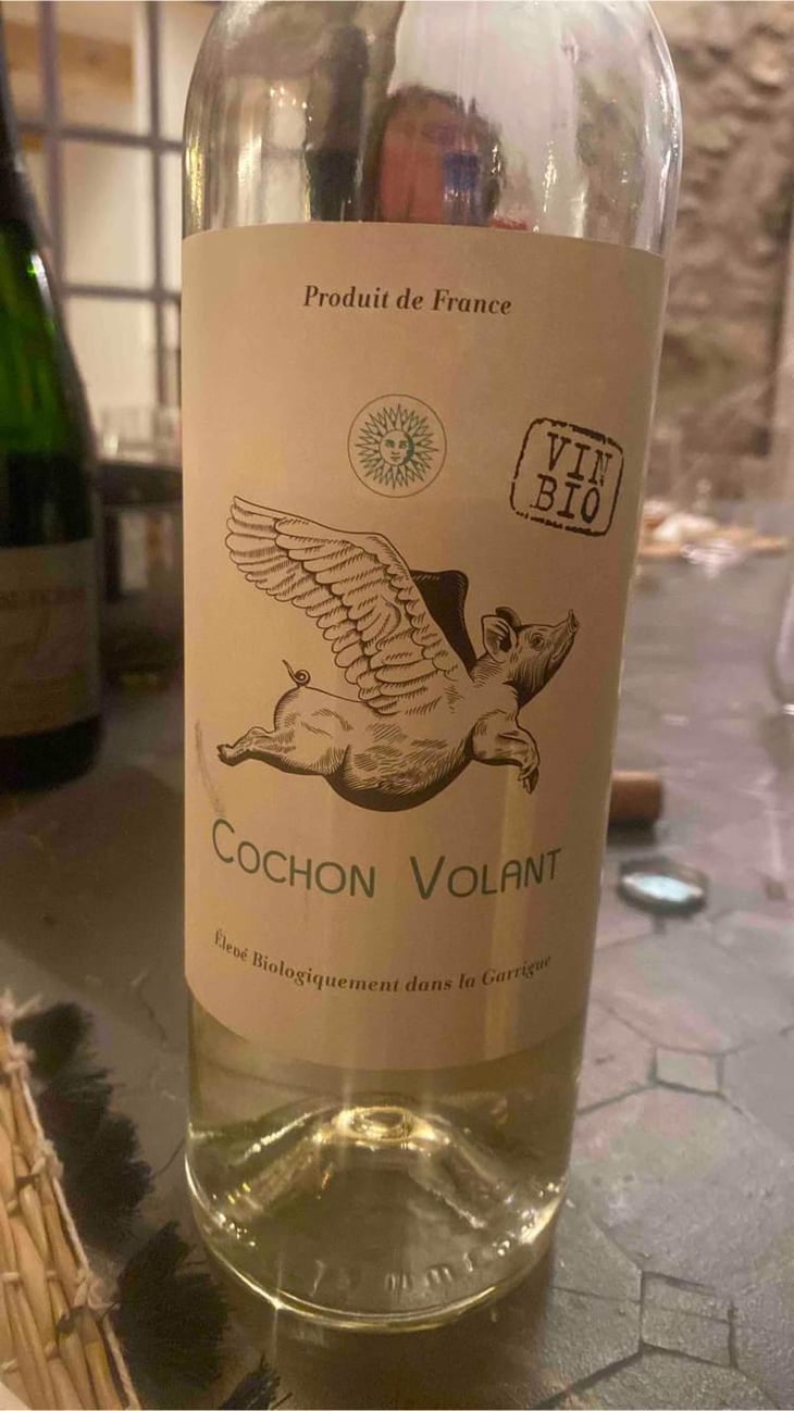 Cochon volant - Chateau de Caraguilhes - Benjamin Brunel -2022
