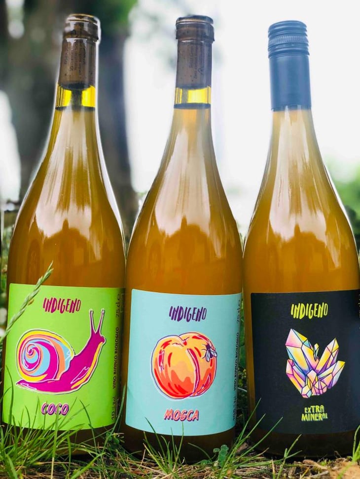 Coco - Cantina Indigeno (TEMPORARILY CLOSED) - Alfredo Giugno, Loreto Lamolinara, Nicola Reginaldi 