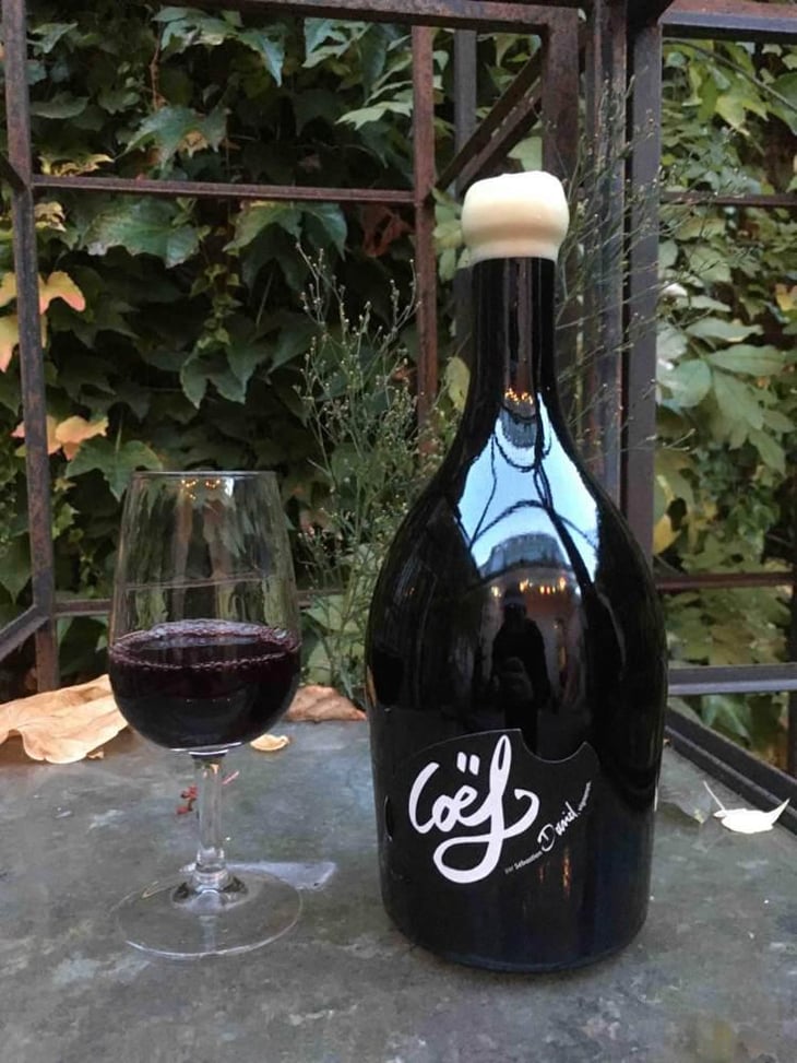 Coëf - Domaine Sébastien David - Sébastien David 