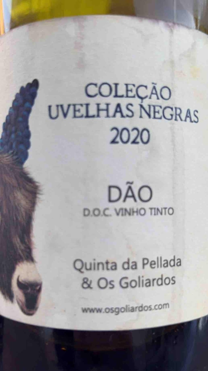 Uvulas negras - Dao - Maria & Álvaro Castro 