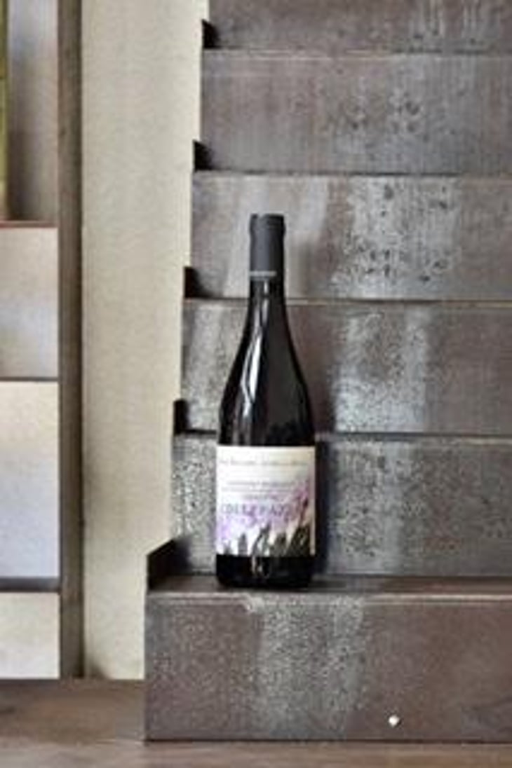 COLLEPAZZO - Cantine Riccardi Reale - Piero Riccardi & Lorella Reale 