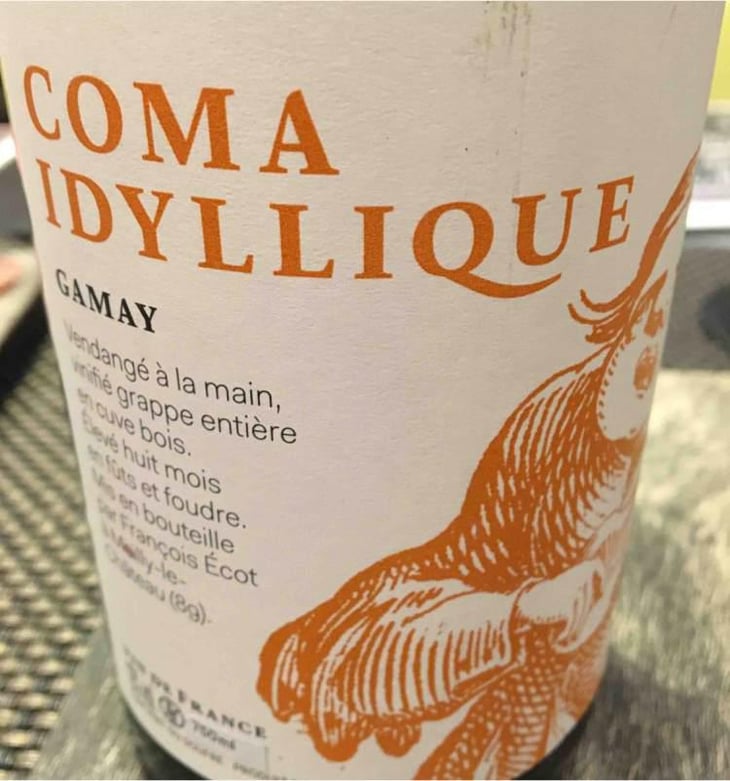 Coma Idyllique - Chai L'insolent - François Ecot 