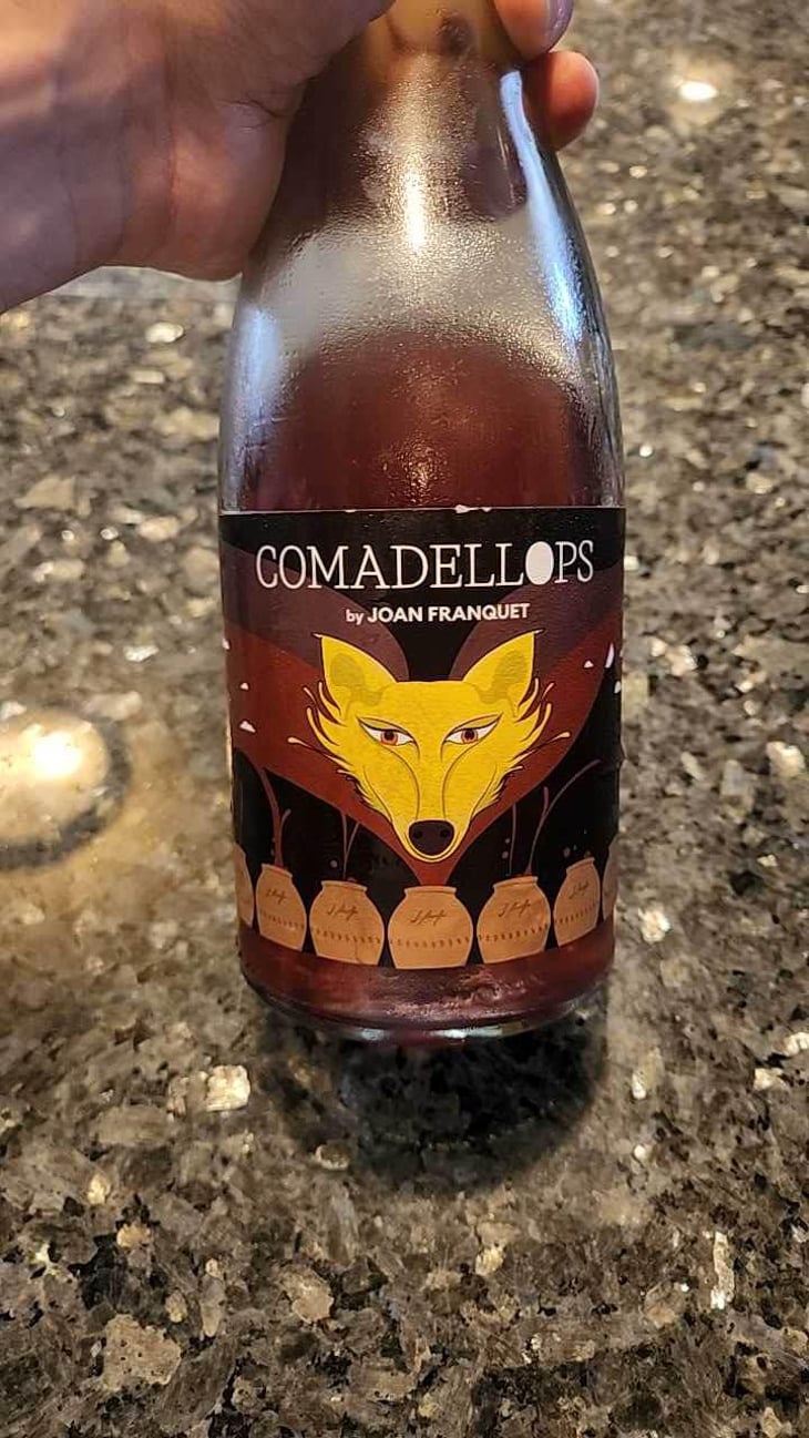 Comadellops Violeta - Costador Terroirs Mediterranis - Joan Franquet 