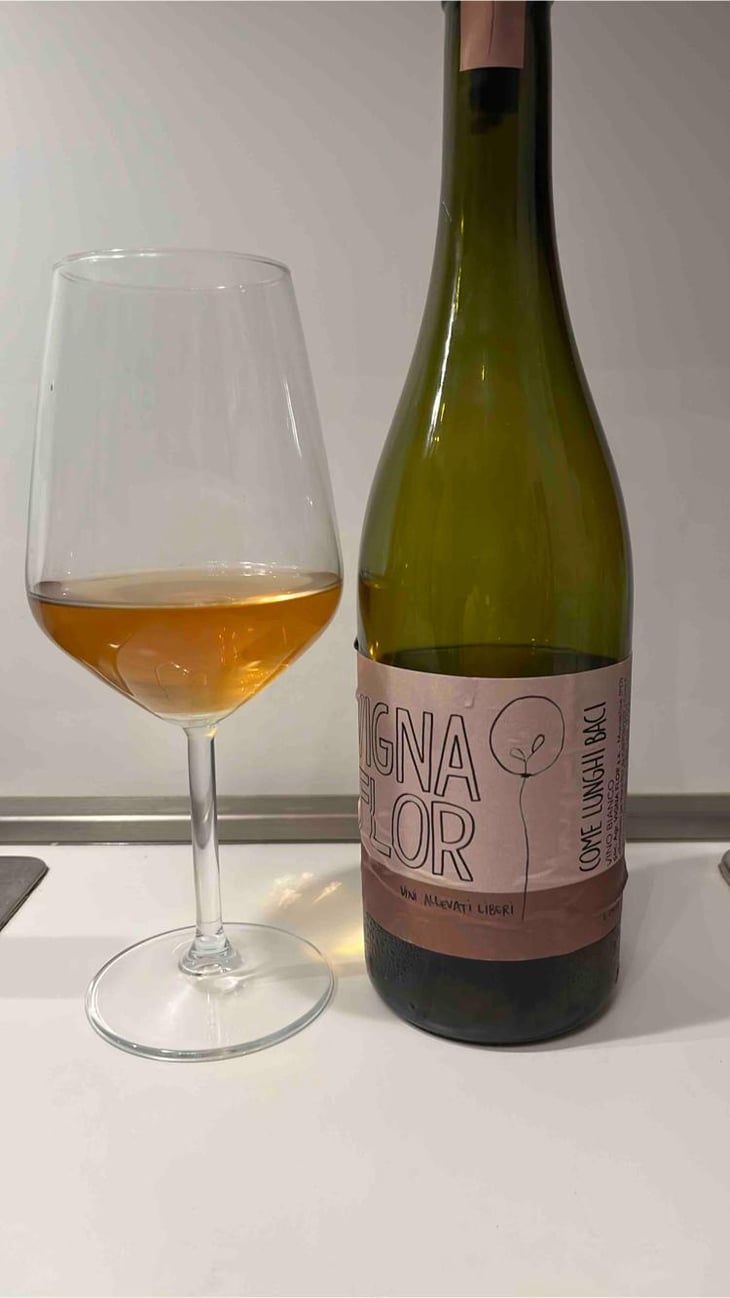 Come Lunghi Baci - Vigna Flor - Davide Boldrin & Francesca Gozzo -2021
