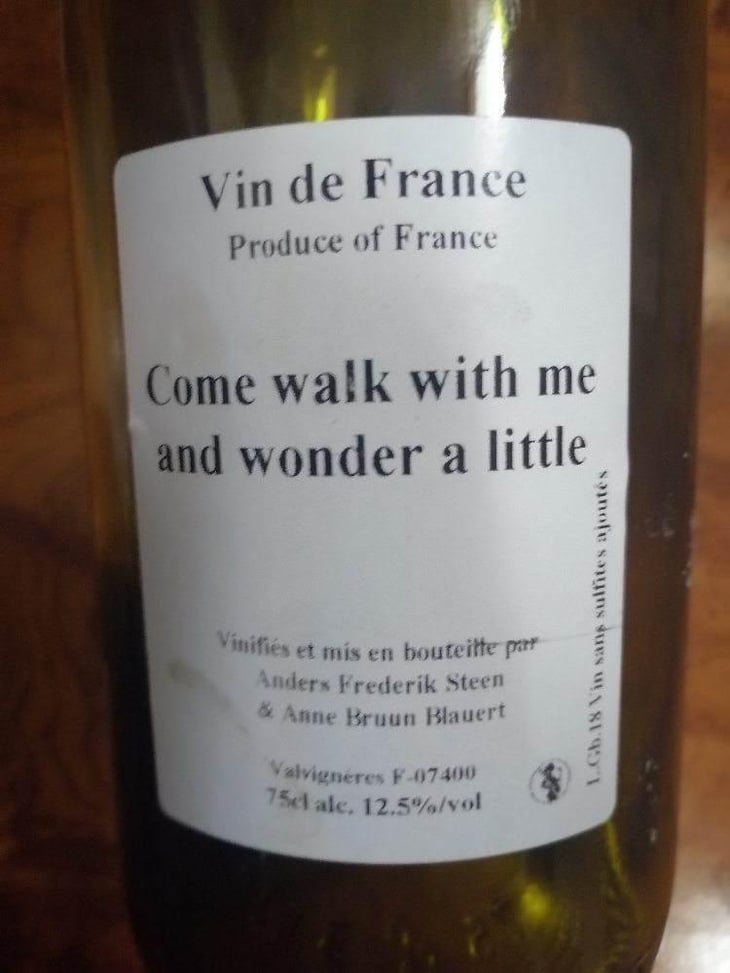 Come walk with me and wonder a little - Anders Frederik Steen & Anne Bruun Blauert - Anders Frederik Steen & Anne Bruun Blauert 