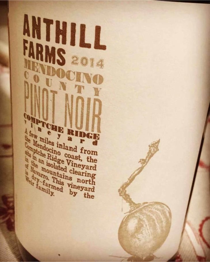 Comptche Ridge Vineyard Pinot Noir - Anthill Farms - Anthony Filiberti, Dave Low, Webster Marquez 