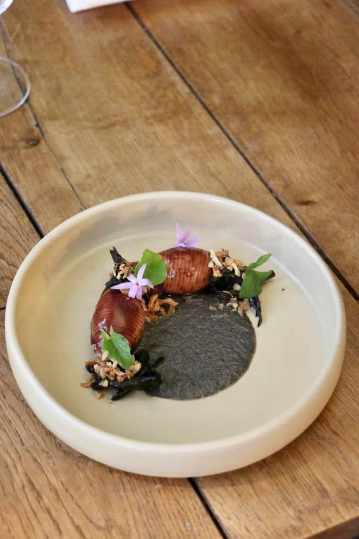 Conchiglionne Farci À La Joue De Boeuf & Champignons - Les Résidents x ecume - 389500