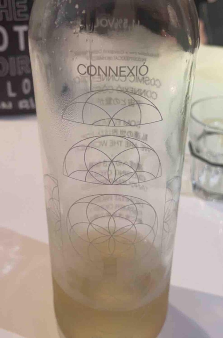 Connexio Cosmica - Còsmic Vinyaters - Salvador Batlle Barrabeig 