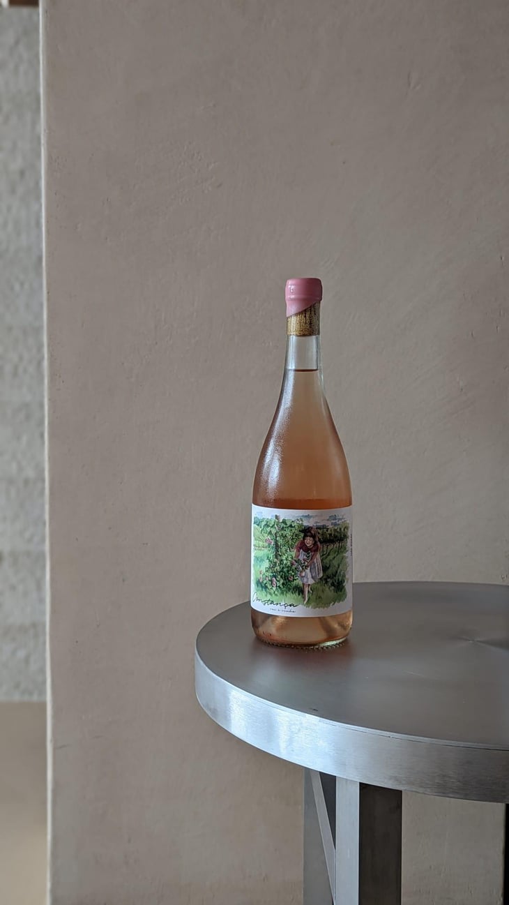 Constança Vai à Vinha - Nas Rosas - Herdade dos Outeiros Altos - Fernanda Rodrigues -2024