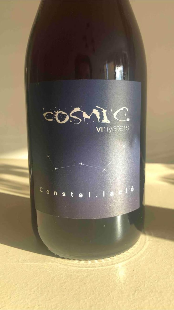 Constel.lació - Còsmic Vinyaters - Salvador Batlle Barrabeig 