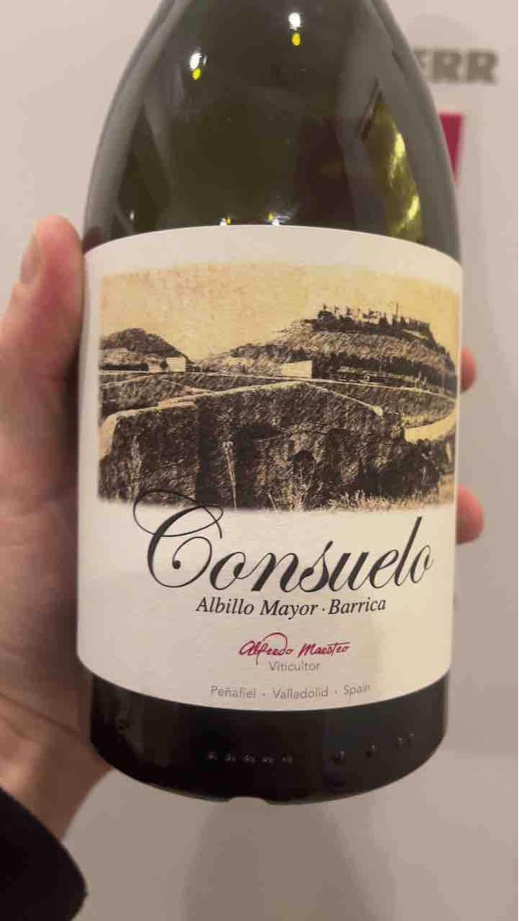 Consuelo - Bodegas y Viñedos Maestro Tejero - Alfredo Maestro Tejero 