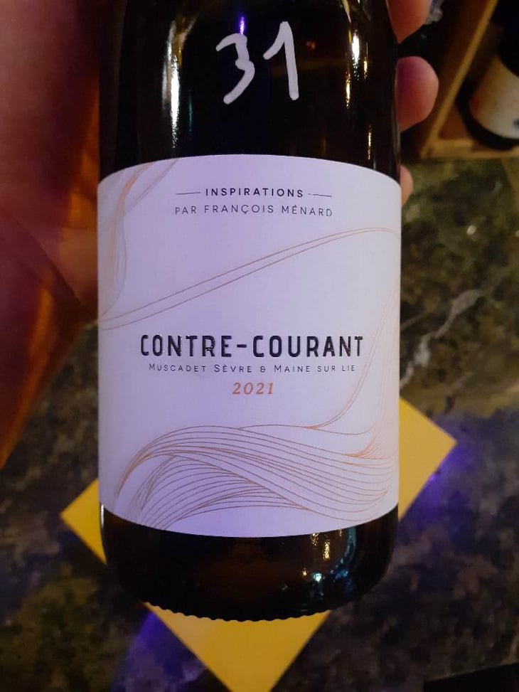 Contre Courant - Menard Gaborit - François Ménard -2021