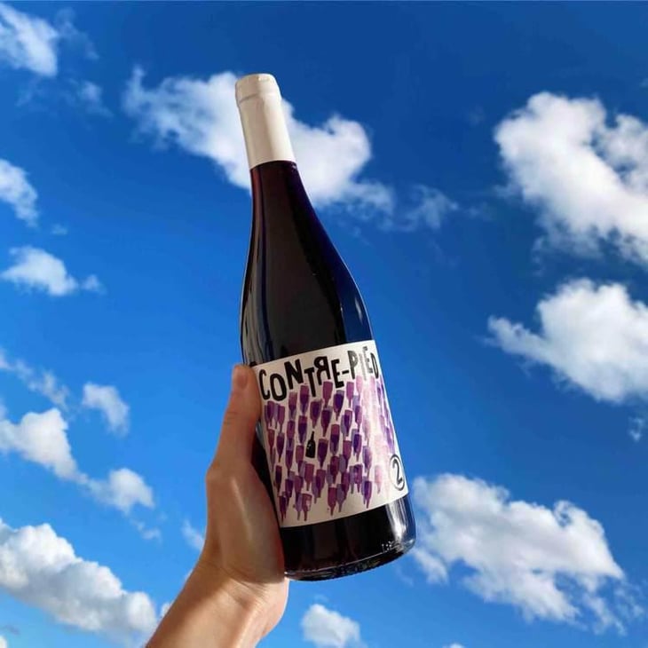 Contre-Pied - Domaine Plageoles - Bernard, Florent & Romain Plageoles 