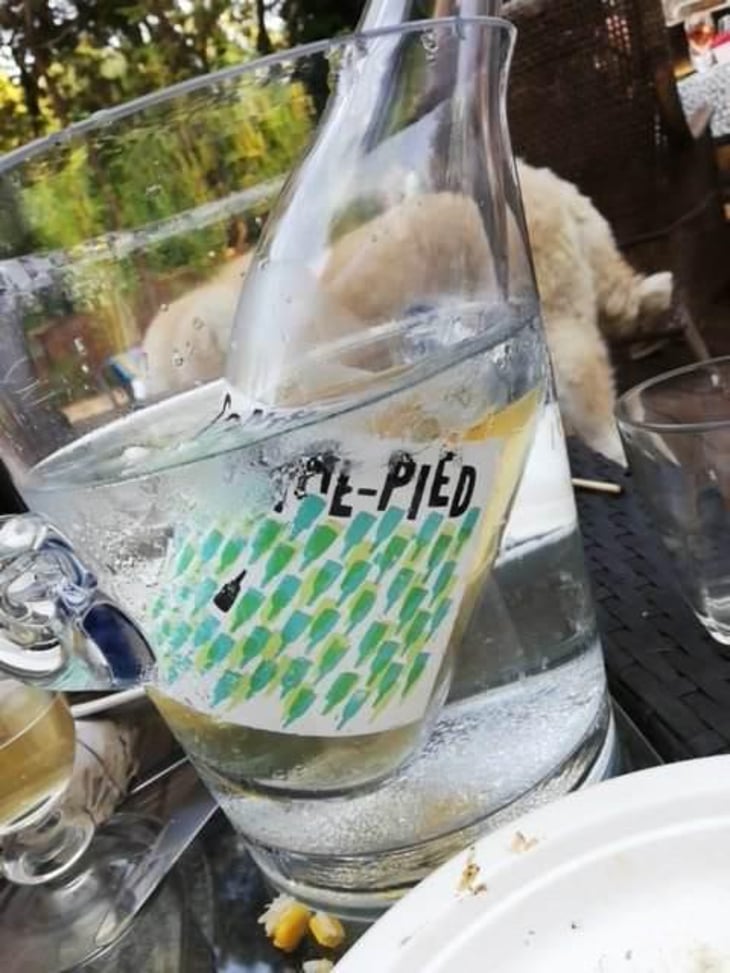Contre-Pied - Domaine Plageoles - Bernard, Florent & Romain Plageoles 