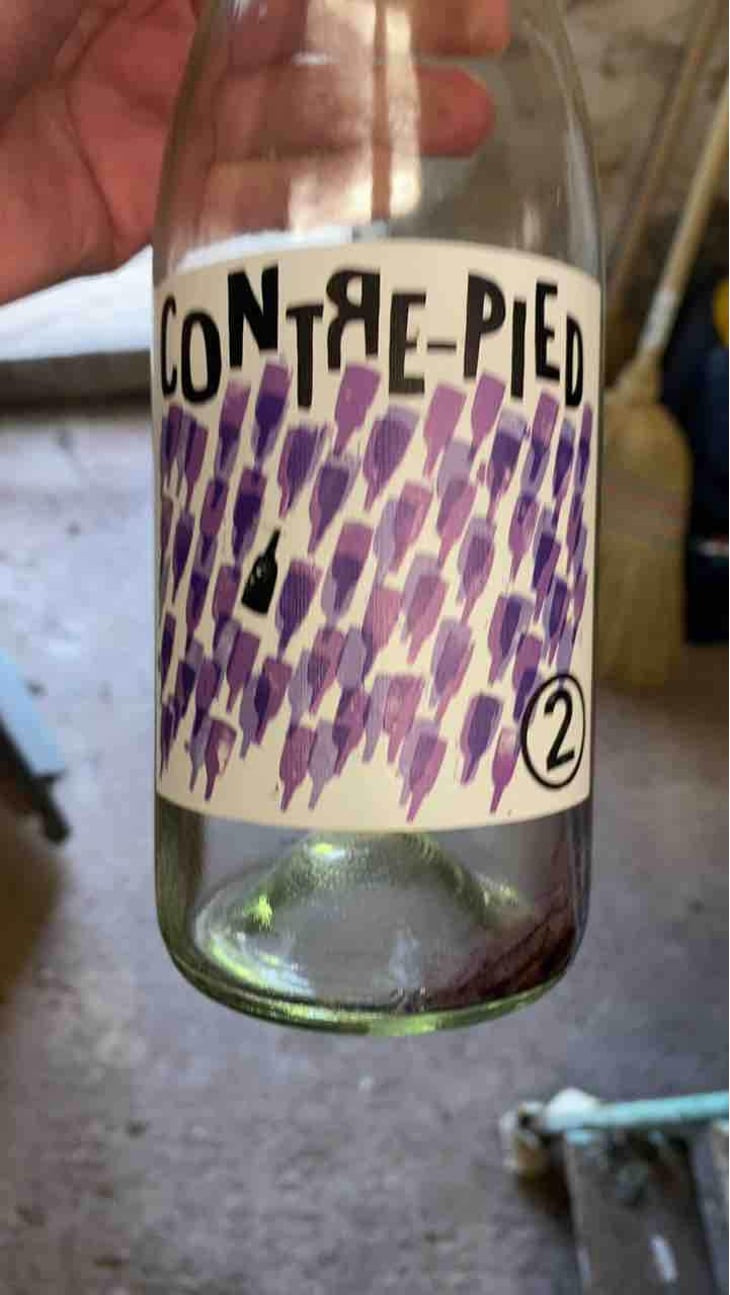 Contre-Pied - Domaine Plageoles - Bernard, Florent & Romain Plageoles 