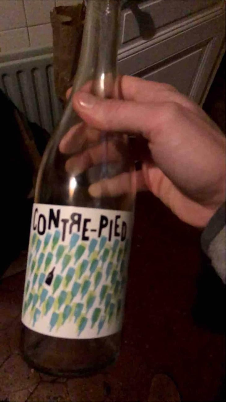 Contre-Pied - Domaine Plageoles - Bernard, Florent & Romain Plageoles 