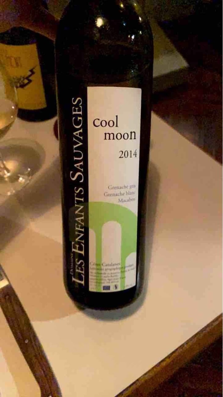 Cool Moon - Les Enfants Sauvages - Nikolaus & Caroline Bantlin -2017