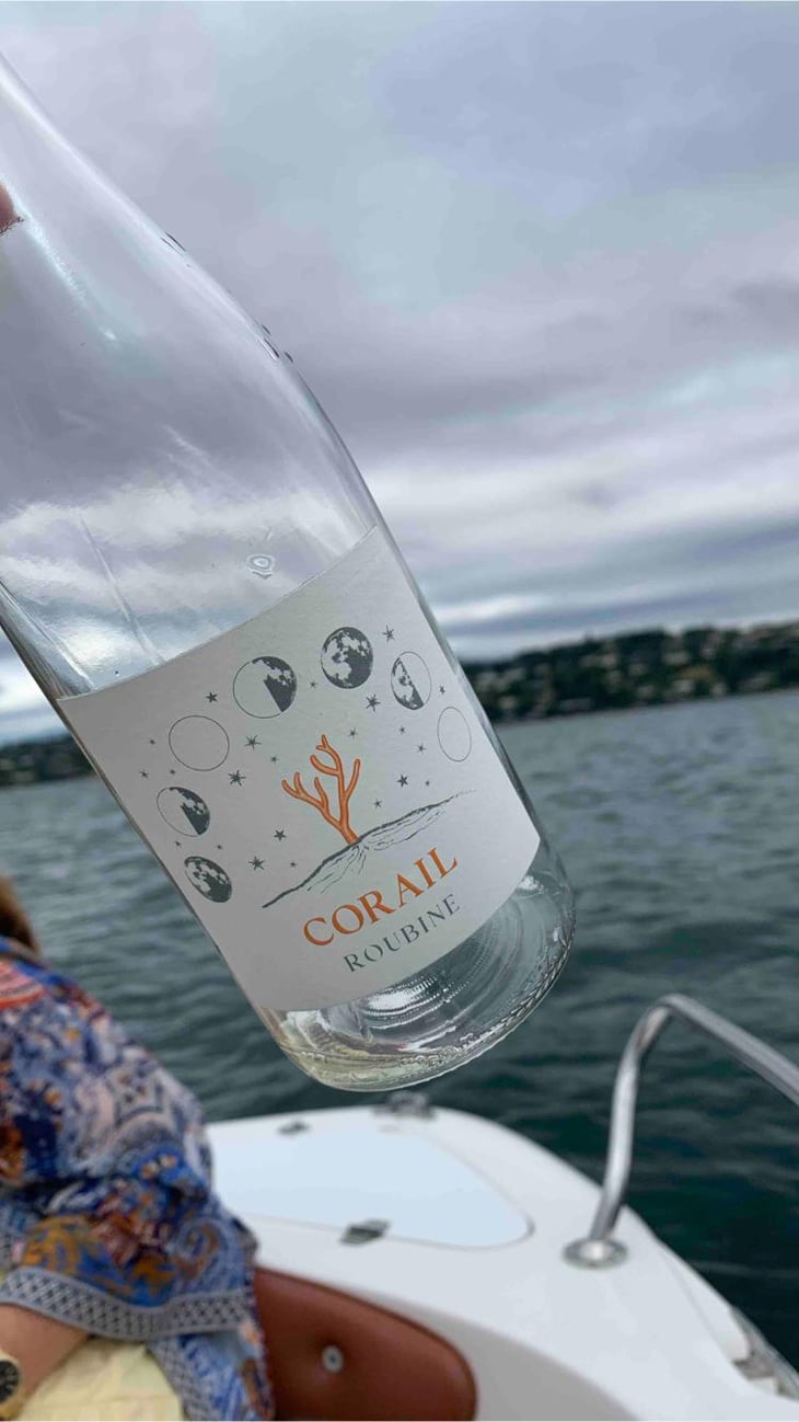 Corail d'Automne (blanc) - Clos Massotte - Pierre Nicolas Massotte 