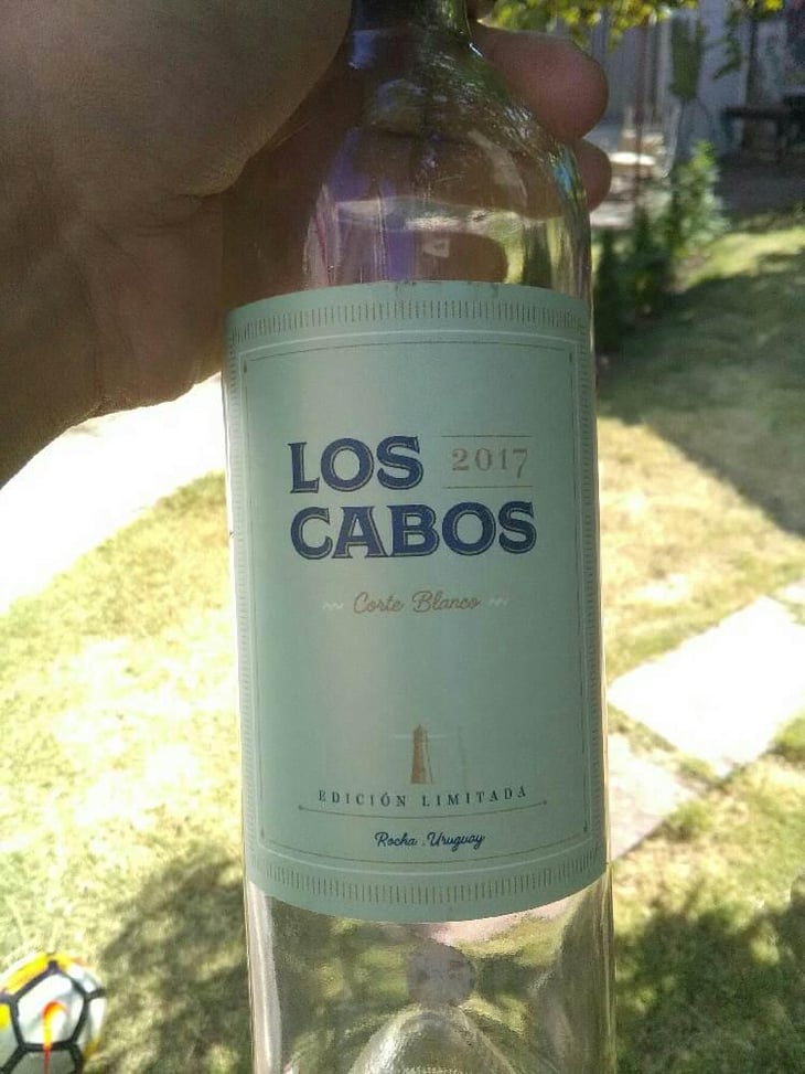 Corte Blanco - Los Cabos - Peter 