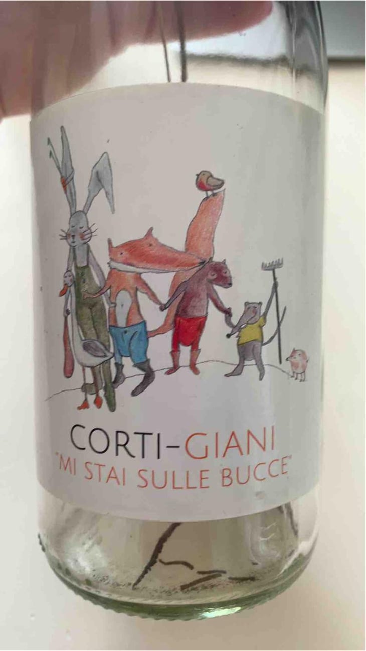 Corti-Giani - Castello di Stefanago - Antonio & Giacomo Baruffaldi 