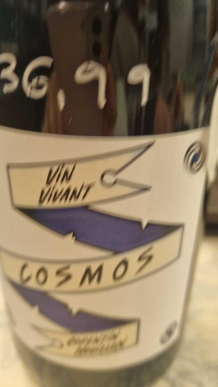 Cosmos - HC-vins - Corentin Houillon 