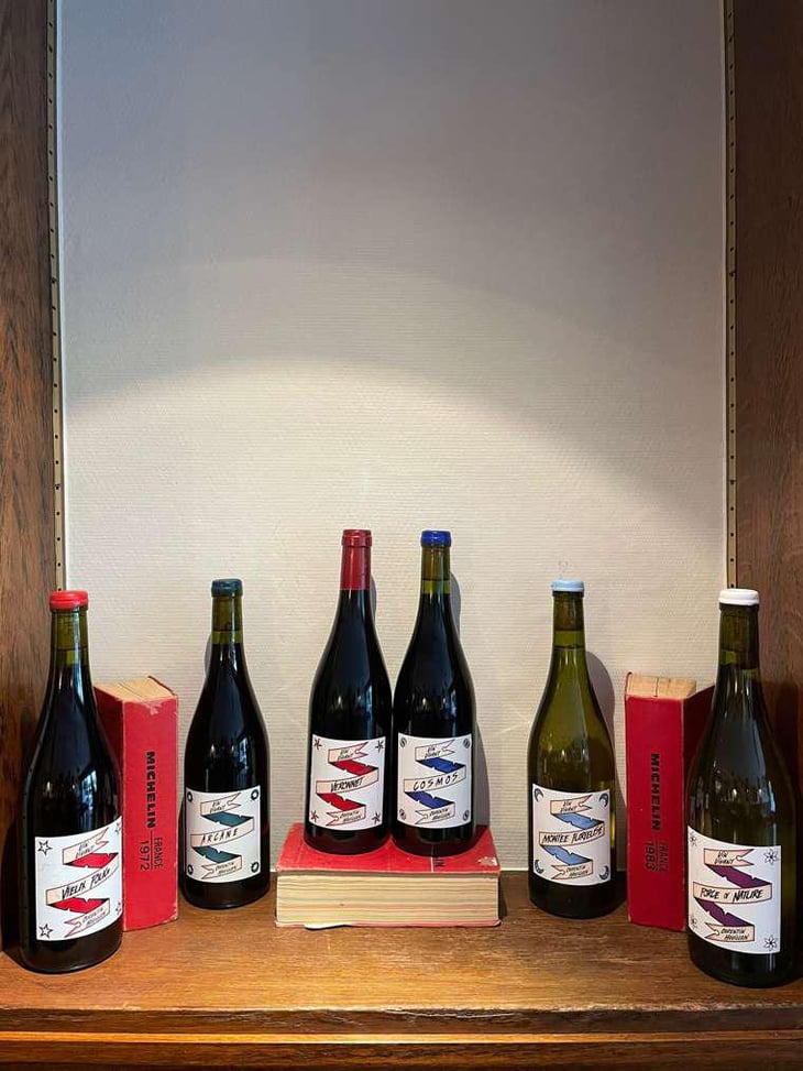 Cosmos - HC-vins - Corentin Houillon 