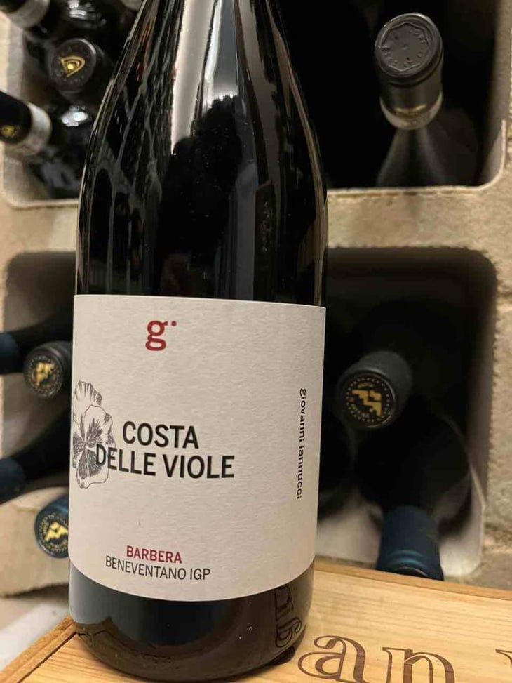 Costa Delle Viole - Azienda Agricola Giovanni Iannucci - Giovanni Iannucci 