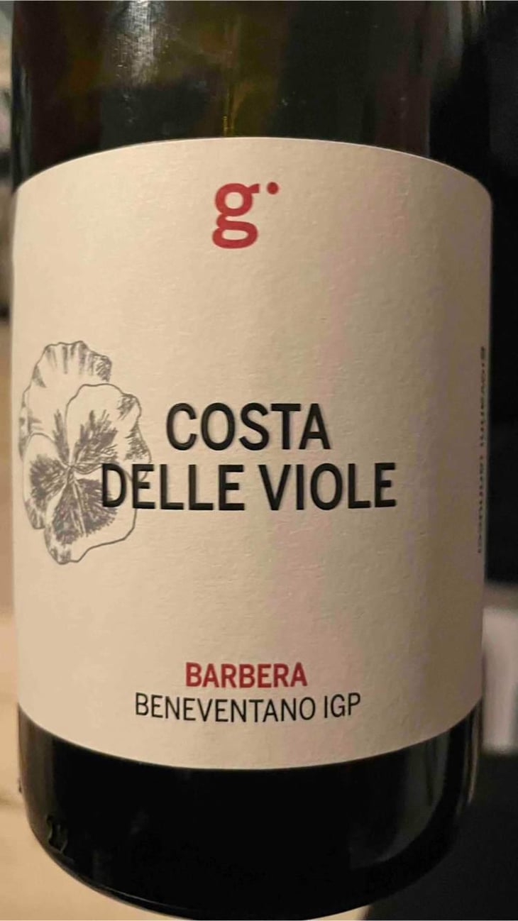 Costa Delle Viole - Azienda Agricola Giovanni Iannucci - Giovanni Iannucci 