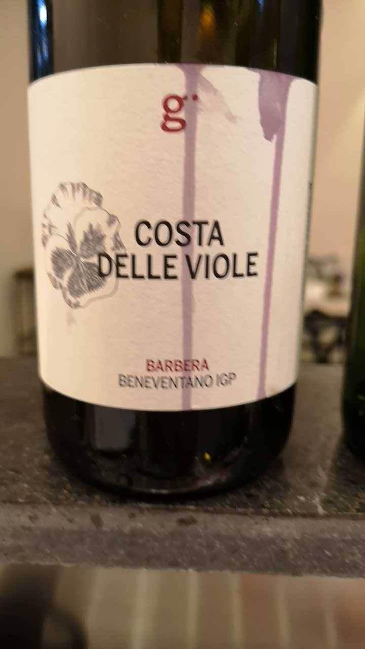 Costa Delle Viole - Azienda Agricola Giovanni Iannucci - Giovanni Iannucci 