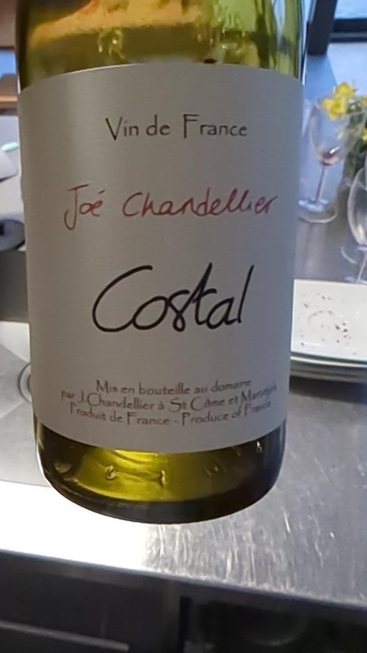 Costal - Joé Chandellier - Joé Chandellier 