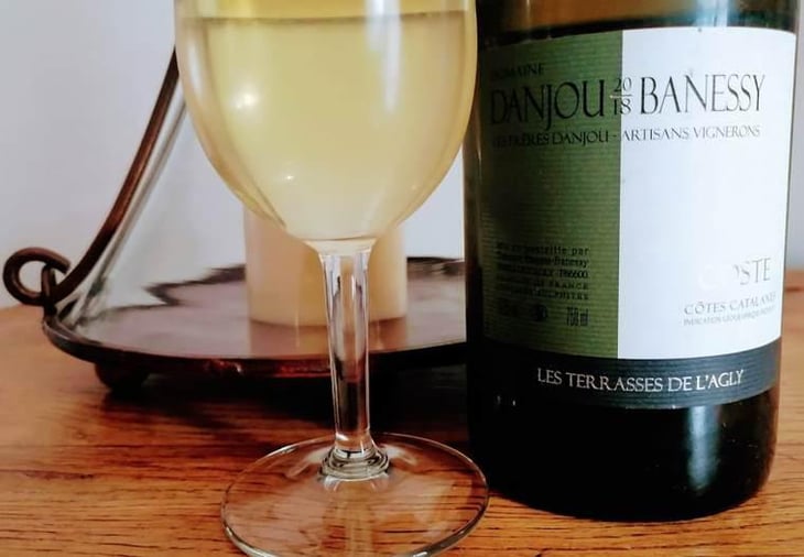Coste - Domaine Danjou-Banessy - Benoît & Sébastien Danjou 