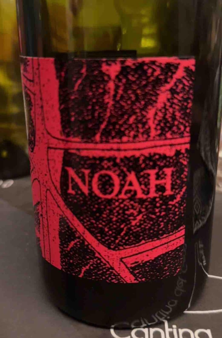coste della sesia - Società Agricola Noah - Noah 