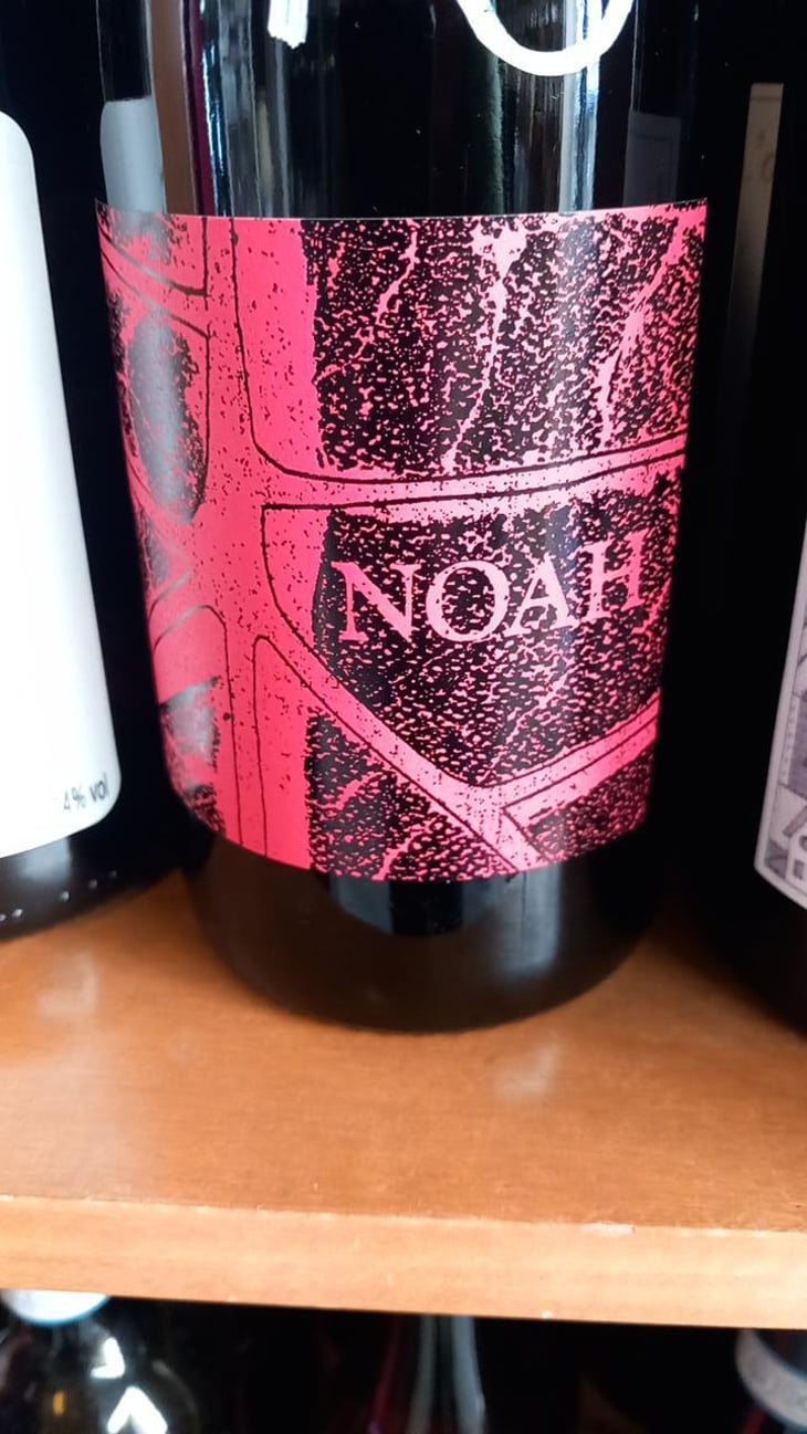coste della sesia - Società Agricola Noah - Noah 