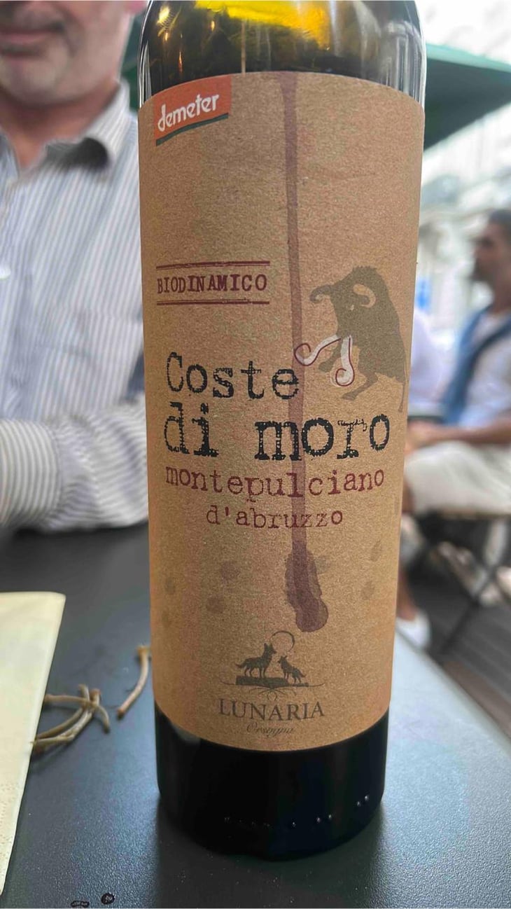 Coste di Moro - Cantina Orsogna - Cantina Orsogna 
