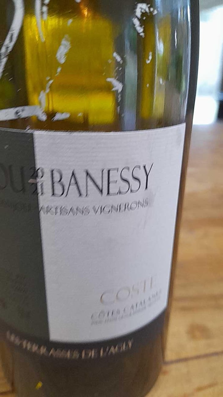 Coste - Domaine Danjou-Banessy - Benoît & Sébastien Danjou 