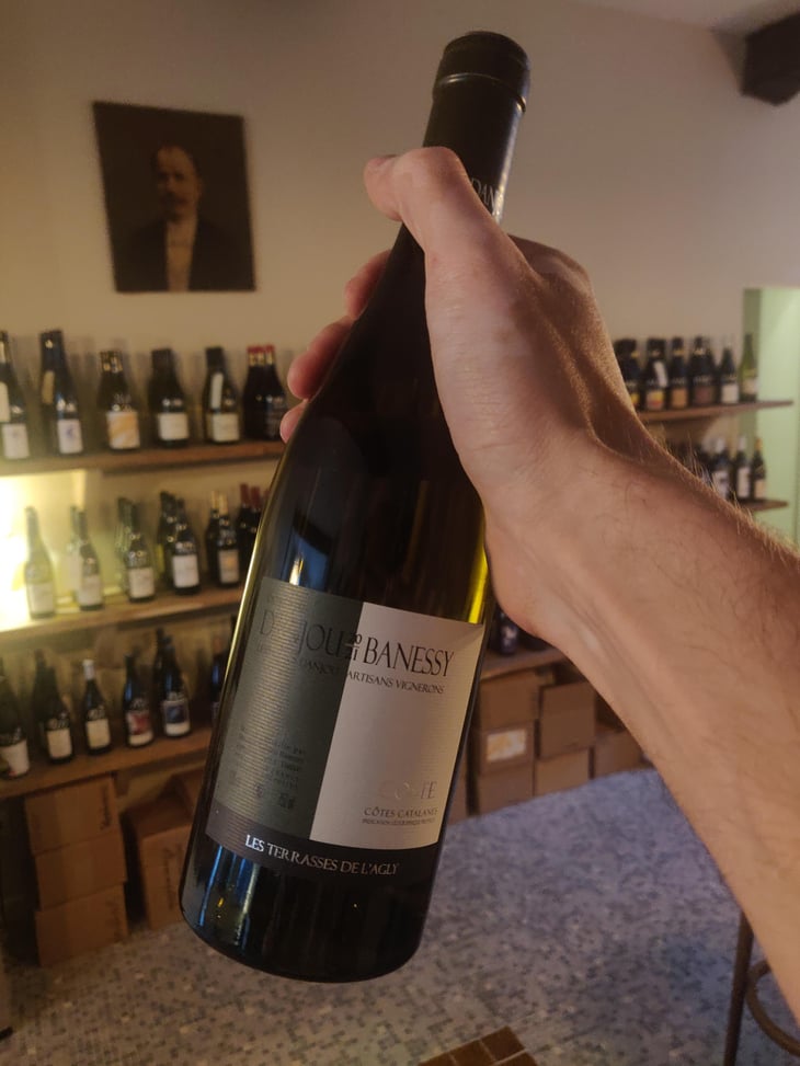 Coste - Domaine Danjou-Banessy - Benoît & Sébastien Danjou 