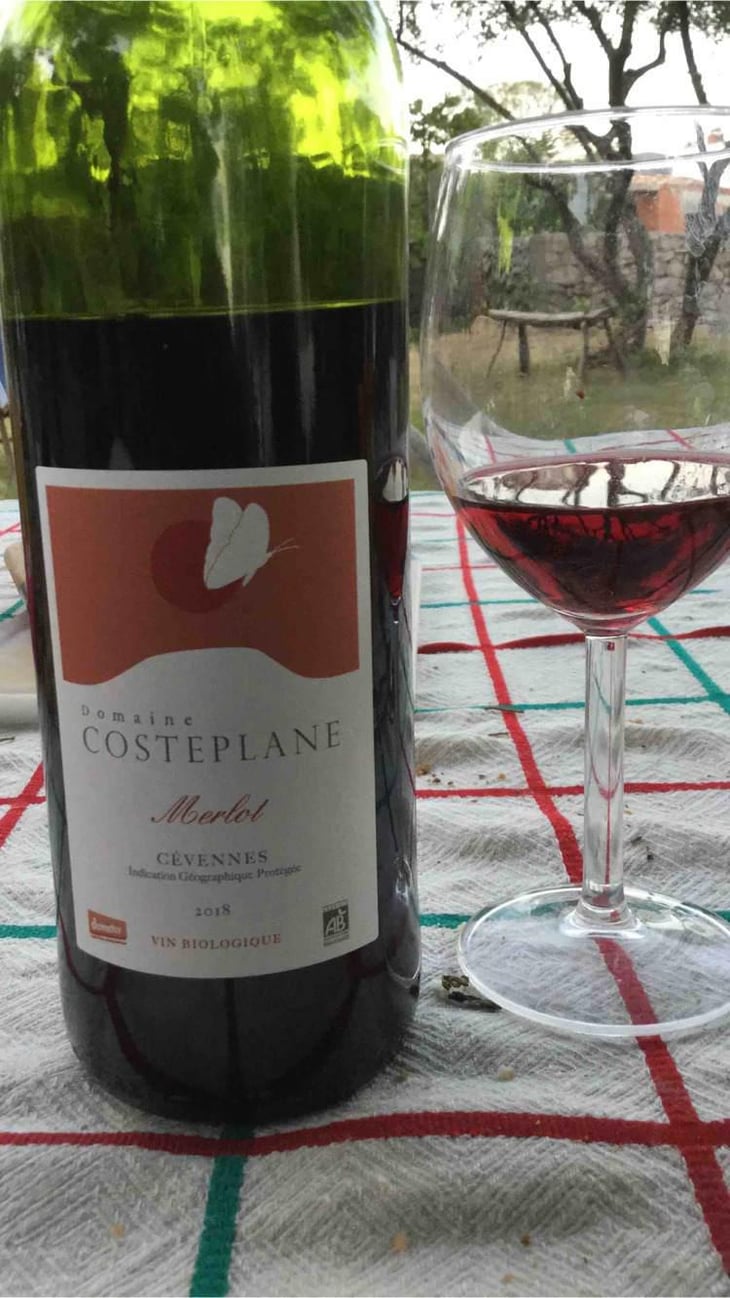 Costeplane - Domaine Costeplane - Françoise & Vincent Coste 
