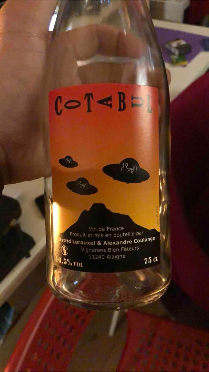 cotabul - Domaine Thuronis - Vigneron Bien Fêteur - Alexandre Coulange & Astrid Lerouxel -2020