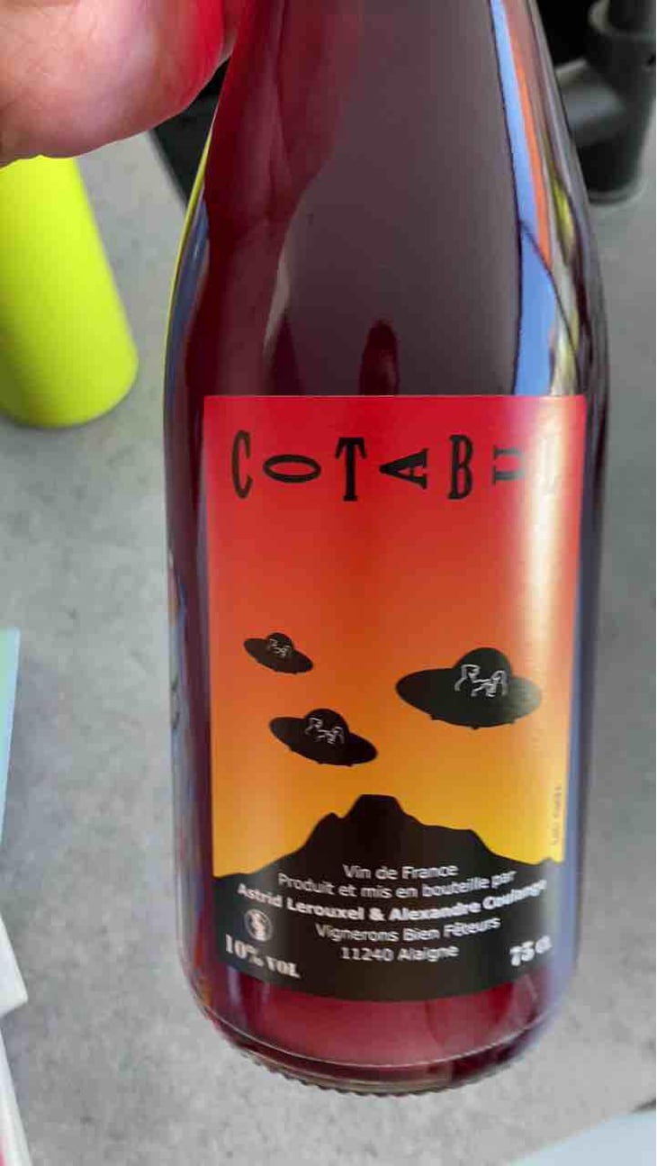 cotabul - Domaine Thuronis - Vigneron Bien Fêteur - Alexandre Coulange & Astrid Lerouxel -2020